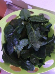 Шпинат по-турецки - шаг 1 Шпинат по-турецки - шаг 1