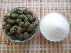 Сироп из сосновых шишек от кашля - шаг 2