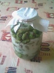 Сироп из сосновых шишек от кашля - шаг 3