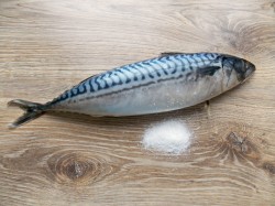 Скумбрия горячего копчения - шаг 1 Скумбрия горячего копчения - шаг 1