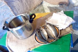 Скумбрия горячего копчения в домашних условиях - шаг 4 Скумбрия горячего копчения в домашних условиях - шаг 4