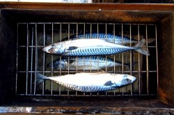 Скумбрия горячего копчения в домашних условиях - шаг 6 Скумбрия горячего копчения в домашних условиях - шаг 6