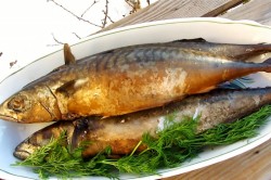 Скумбрия горячего копчения в домашних условиях - шаг 7 Скумбрия горячего копчения в домашних условиях - шаг 7