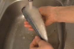 Скумбрия малосольная с гвоздикой - шаг 2