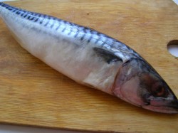 Скумбрия в бутылке в луковой шелухе - шаг 1 Скумбрия в бутылке в луковой шелухе - шаг 1