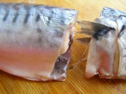 Скумбрия в бутылке в луковой шелухе - шаг 3 Скумбрия в бутылке в луковой шелухе - шаг 3