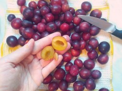 Сливовое повидло из слив на зиму - шаг 3 Сливовое повидло из слив на зиму - шаг 3