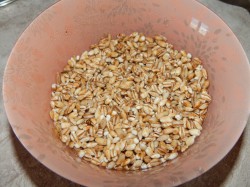 Спас армянский суп - шаг 2 Спас армянский суп - шаг 2