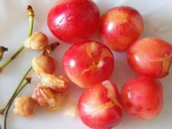 Чизкейк Сплошное наслажденье - шаг 7 Чизкейк Сплошное наслажденье - шаг 7