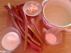 Суп из ревеня - шаг 1