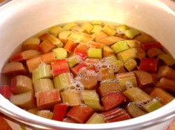 Суп из ревеня - шаг 3