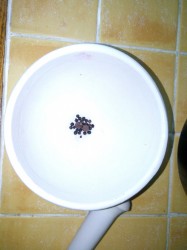 Свекольник с говядиной - шаг 5