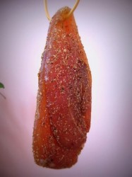 вяленая куриная грудка - шаг 4