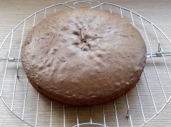 Торт ежик из бисквита домашний - шаг 6