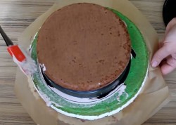 Торт Черепашки ниндзя без мастики - шаг 9 Торт Черепашки ниндзя без мастики - шаг 9