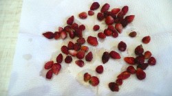 Торт Снежный ком - шаг 17