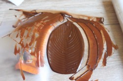 Торт Три шоколада муссовый - шаг 18