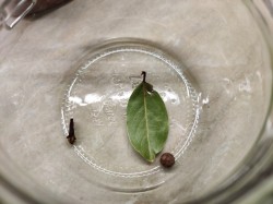 Тушенка из утки на зиму в домашних условиях - шаг 3 Тушенка из утки на зиму в домашних условиях - шаг 3