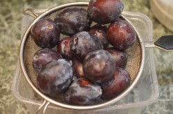 Варенье из чернослива - шаг 2