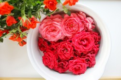 Варенье из лепестков чайных роз - шаг 3