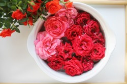 Варенье из лепестков чайных роз - шаг 4