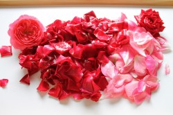 Варенье из лепестков чайных роз - шаг 5