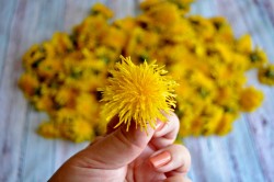 Варенье из одуванчиков - шаг 2