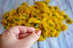 Варенье из одуванчиков - шаг 3