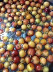 Варенье из райских яблок По старинке - шаг 1