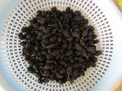 Варенье из шелковицы тутовника - шаг 1