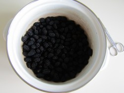 Варенье из шелковицы тутовника - шаг 2