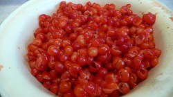 Варенье из войлочной вишни - шаг 3 Варенье из войлочной вишни - шаг 3