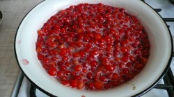 Варенье из войлочной вишни - шаг 6 Варенье из войлочной вишни - шаг 6