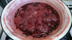 Варенье из войлочной вишни - шаг 7 Варенье из войлочной вишни - шаг 7