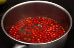 Рябиновое варенье с яблоками на зиму - шаг 3 Рябиновое варенье с яблоками на зиму - шаг 3