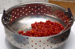 Рябиновое варенье с яблоками на зиму - шаг 4 Рябиновое варенье с яблоками на зиму - шаг 4