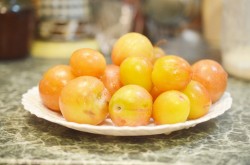 Вино из желтой сливы домашнее - шаг 1