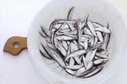 Вяленая килька в электросушилке - шаг 2 Вяленая килька в электросушилке - шаг 2