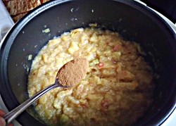 Яблочная пастила с медом и корицей - шаг 2