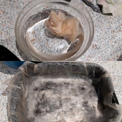 Яичный рулет с печенью - шаг 3