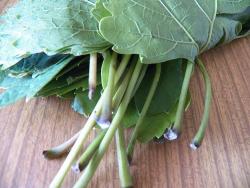 Маринованные виноградные листья - шаг 4 Маринованные виноградные листья - шаг 4