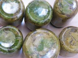 Маринованные виноградные листья - шаг 25 Маринованные виноградные листья - шаг 25