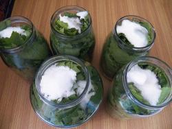 Маринованные виноградные листья - шаг 24 Маринованные виноградные листья - шаг 24