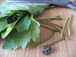 Маринованные виноградные листья - шаг 5 Маринованные виноградные листья - шаг 5