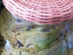 Маринованные виноградные листья - шаг 21 Маринованные виноградные листья - шаг 21