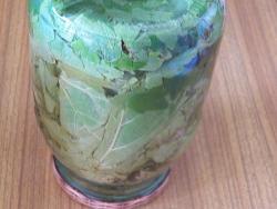 Маринованные виноградные листья - шаг 22 Маринованные виноградные листья - шаг 22