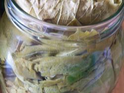 Маринованные виноградные листья - шаг 19 Маринованные виноградные листья - шаг 19