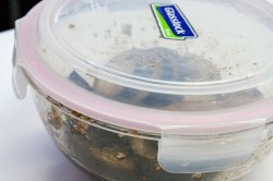 Закуска из запеченного баклажана помидора и Моцареллы - шаг 5