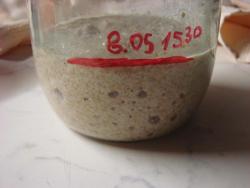 Закваска для бездрожжевого хлеба - шаг 2 Закваска для бездрожжевого хлеба - шаг 2