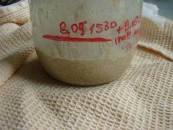 Закваска для бездрожжевого хлеба - шаг 7 Закваска для бездрожжевого хлеба - шаг 7